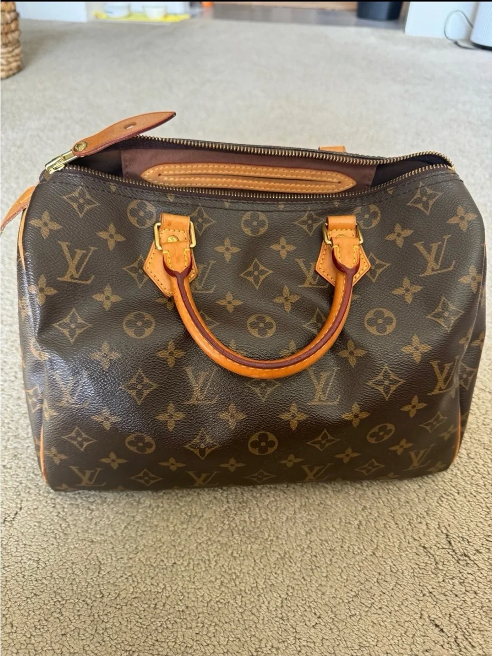 Louis Vuitton iconic louis